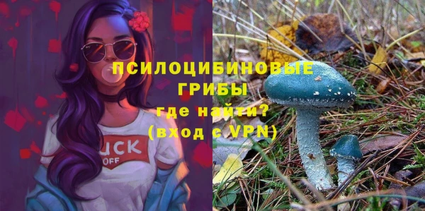 бутират Алексеевка