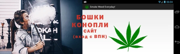 PSILOCYBIN Осинники